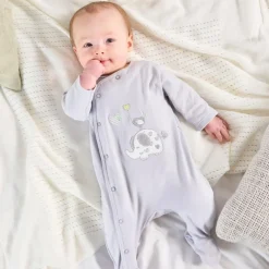 DANDELION ALL IN ONE DC3148G