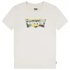 LEVIS T SHIRT K374