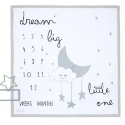 MILESTONE BLANKET C226