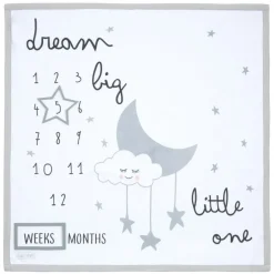 MILESTONE BLANKET C226