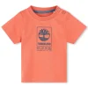 TIMBERLAND T SHIRT T60100