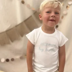 TINY VICTORIES BIG BROTHER TOP TV211A