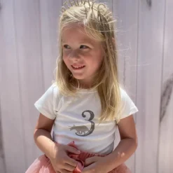 TINY VICTORIES BIRTHDAY TOP TV203D