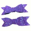 2X HAIR CLIPS HC12