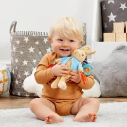 PETER RABBIT ACTIVITY TOY PO2161