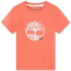 TIMBERLAND T SHIRT T60087